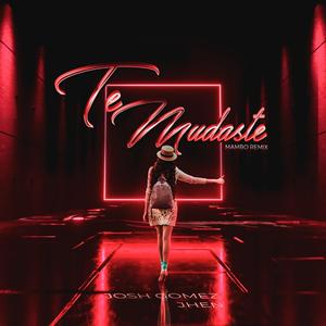 Te Mudaste (Remix)