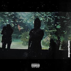 Don't Need (feat. Cancer Q)