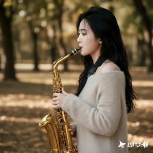 爱情理由（柔情萨克斯）