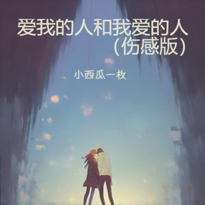 爱我的人和我爱的人 (伤感版)