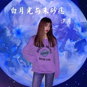 白月光与朱砂痣