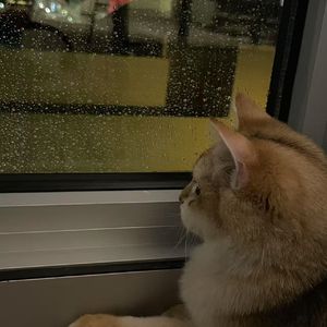 雨下一整晚（纯音乐）