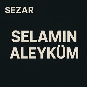 S.a (Diamond Version)