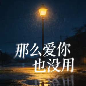 那么爱你也没用(R&B版)