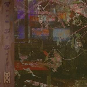 Swimming in the Rain