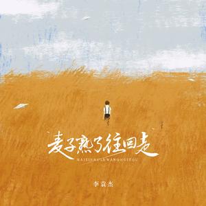 麦子熟了往回走