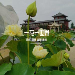 一花一世界（孟杨）