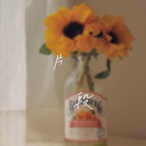 沈园外（弹唱片段）