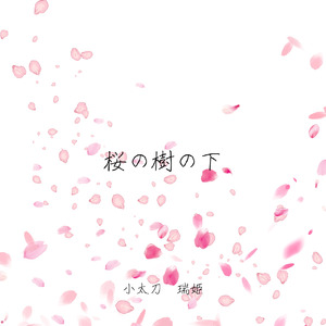 桜の樹の下