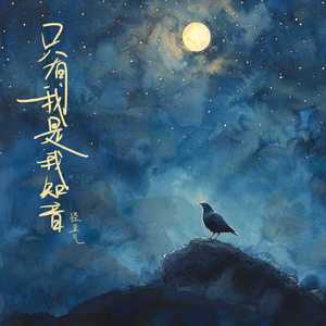 只有我是我知音（DJ弹鼓版）