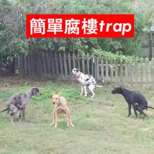 简单腐楼trap.(prod by Red killer)