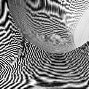 NEW MOON RISING (Cover)