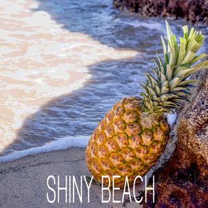 Shiny Beach (feat. MiloPaws)