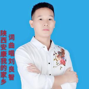 陕西安康我的家乡（DJ版）