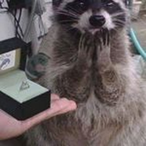 Princess Bubblegum (sped up)