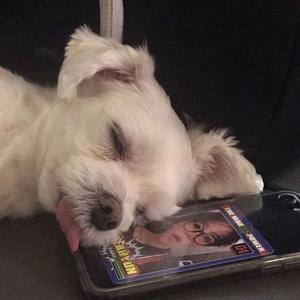 Kẻ Cắp Gặp Bà Già（Remix）