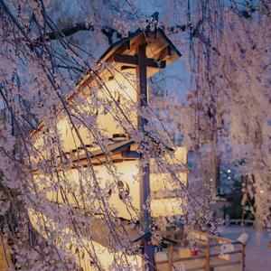 さくら ~あなたに出会えてよかった~(樱花樱花想见你)（翻自 RSP）