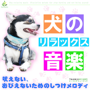 無駄吠えのしつけ