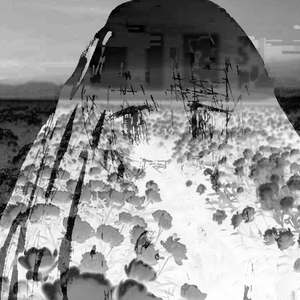 The Frauenkirche Freakshow