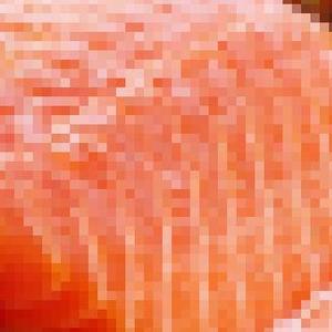 三文鱼 Experimental Homework