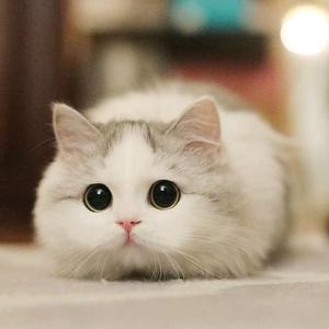 7月6日的早班车