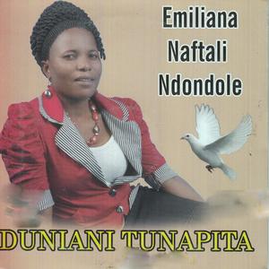 Duniani Tunapita