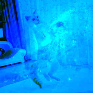 Atmosphere ritme life