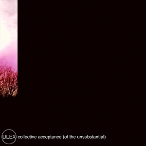 Collective Acceptance (Of the Unsubstantial)