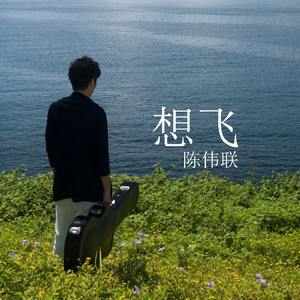想飞