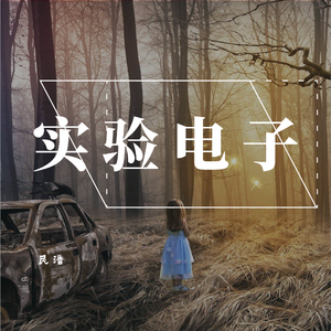 实验电子