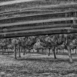 yalnızlık bir ömür mü sürer?