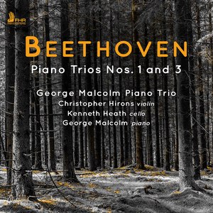 Piano Trio No. 3 in C Minor, Op. 1 No. 3:I. Allegro con brio