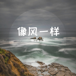 像风一样