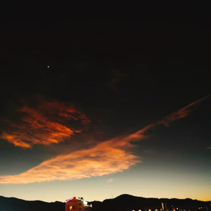 春天的原野上没有风