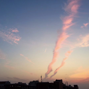 Walking along the seashore