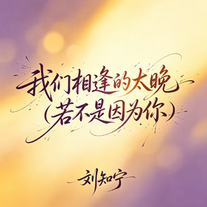 我们的相逢太晚（若不是因为你）