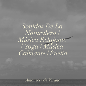 El Silencio Brumoso del Invierno