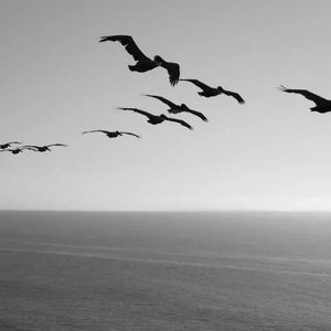 一滴泪的时间（L）