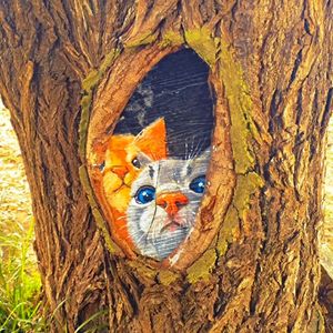 逆流时光的旅人