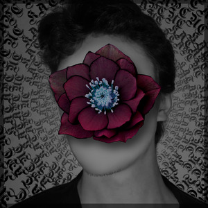 Разбегаюсь