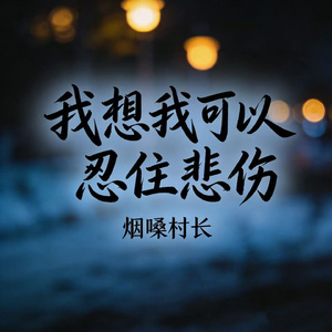 我想我可以忍住悲伤