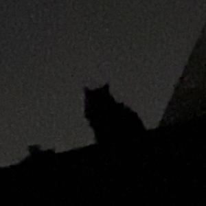 Chamber of Reflection