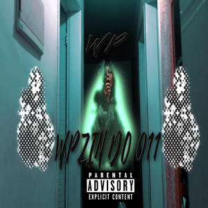Wpzin do 011