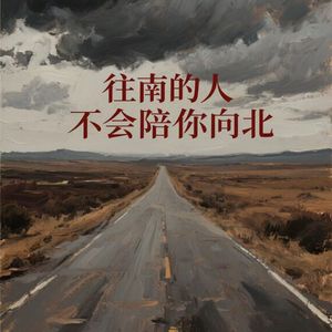 往南的人不会陪你向北
