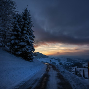 Cold Echo