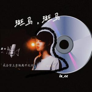 斑马斑马(WAV)（翻自 张婧懿）