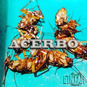 Zumbi (feat. Mau Werner)