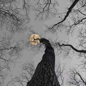 杜耀东-星辰落心河（杜耀东 remix）