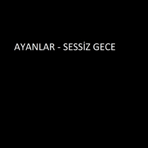 SESSİZ GECE