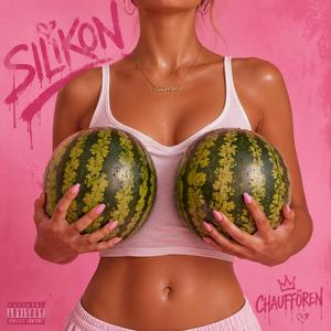 SILIKON